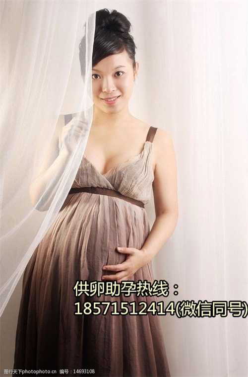 武汉私人代孕医院,天津市的试管医院排名